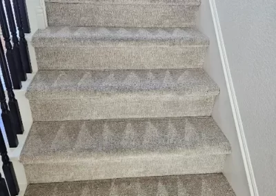 Carpet Cleaning