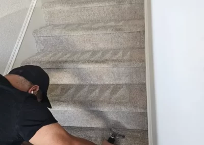 Professional Cleaning