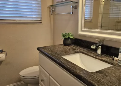 Professional Cleaning Service